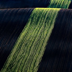 SRG_4544 (1)